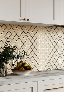 Backsplash Compatibility